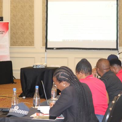 Strengthening Mental Health In Humanitarian Action 6